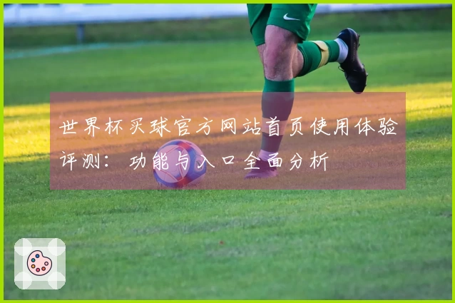 世界杯买球官方网站首页使用体验评测：功能与入口全面分析