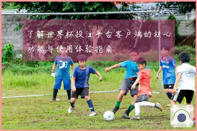 了解世界杯投注平台客户端的核心功能与使用体验指南