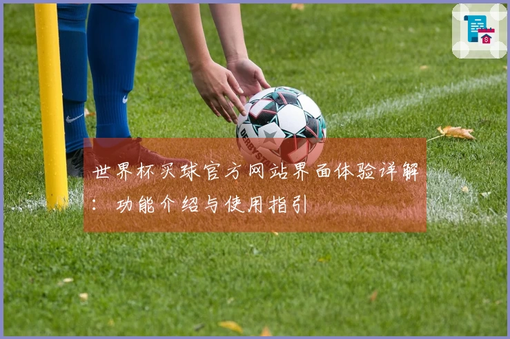 世界杯买球官方网站界面体验详解：功能介绍与使用指引