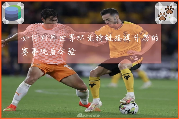 如何利用世界杯竞猜链接提升您的赛事观看体验