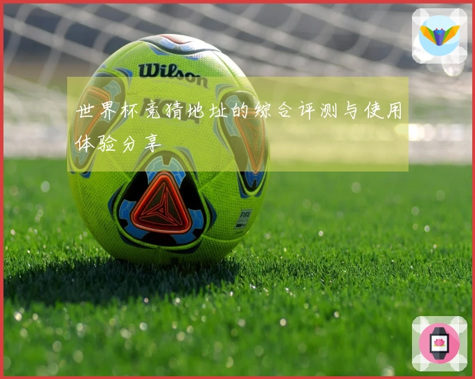 世界杯竞猜地址的综合评测与使用体验分享